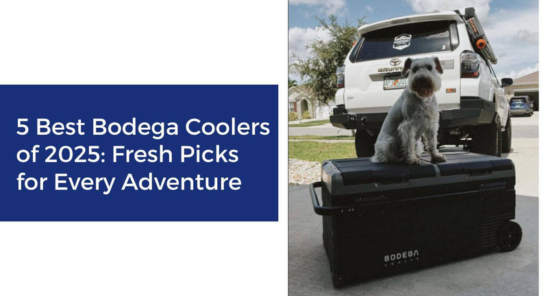 5 Best Bodega Coolers of 2025: Fresh Picks for Every Adventure