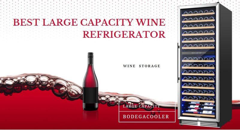 Best Large Capacity Wine Fridges