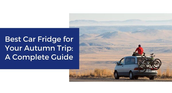 Best Car Fridge for Your Autumn Trip: A Complete Guide