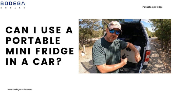 Can I Use a Portable Mini Fridge in a Car?