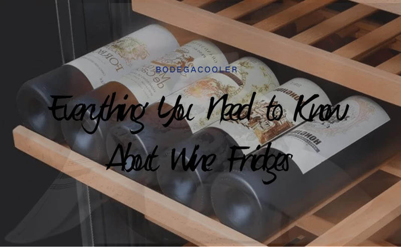 Everything You Need to Know About Wine Fridges
