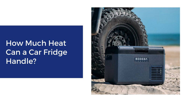 How Much Heat Can a Car Fridge Handle?