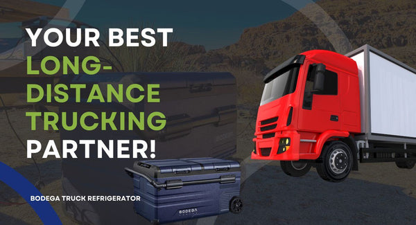 How To Choose The Best Refrigerator For Truck Driver?