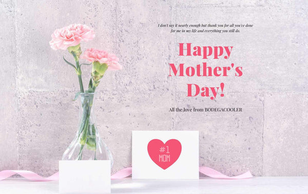 Mother's Day Gift Guide: Mini Refrigerator with Freezer or Small Wine Fridge