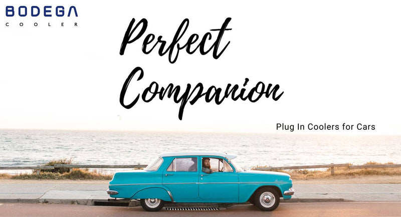 Plug In Coolers for Cars: Your Perfect Companion for Road Trips