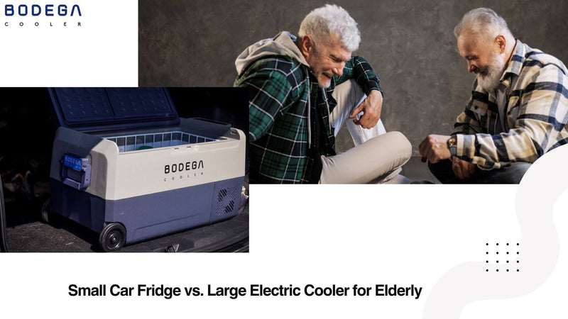 Small Car Fridge vs. Large Electric Cooler for Elderly
