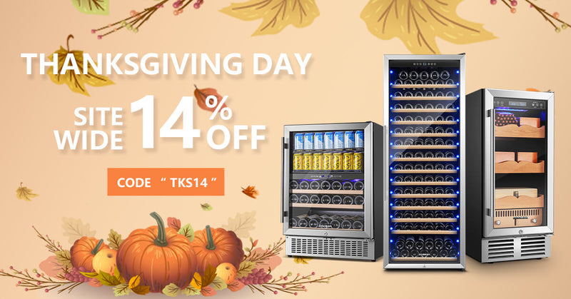 Wine Cooler Buying Guide in Thanksgiving Day Sale!