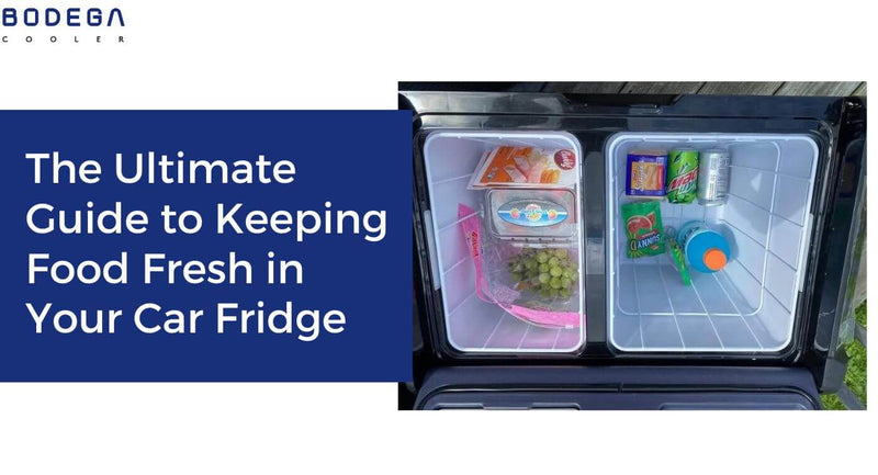 The Ultimate Guide to Keeping Food Fresh in Your Car Fridge - EP.7