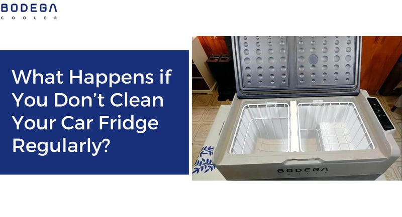 What Happens if You Don’t Clean Your Car Fridge Regularly? EP.6