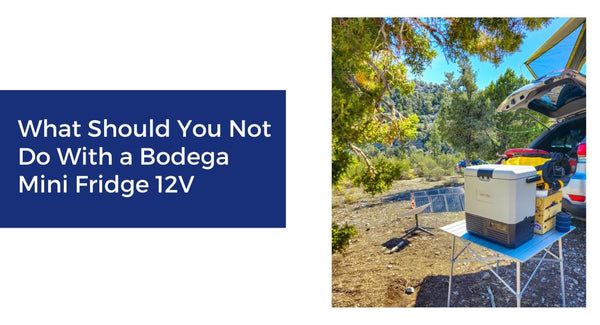 What Should You Not Do With a Bodega Mini Fridge 12V