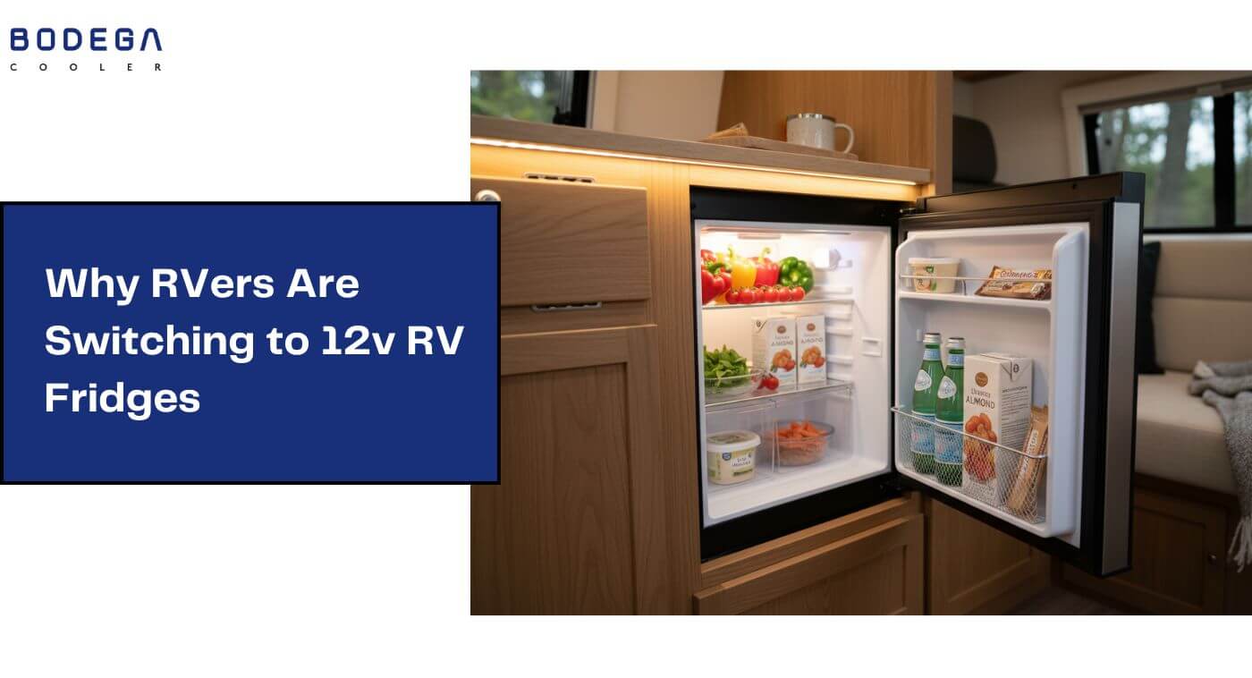Why RVers Are Switching to 12v RV Fridges