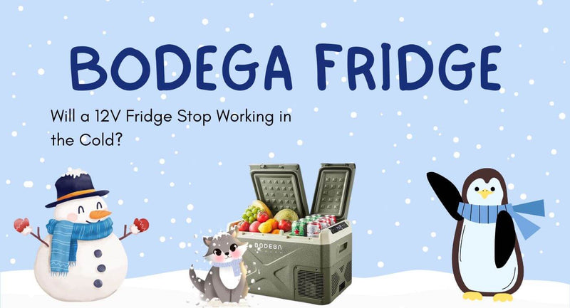 Will a 12V Fridge Stop Working in the Cold?