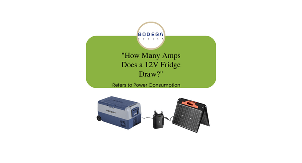 How Many Amps Does a 12V Fridge Draw?