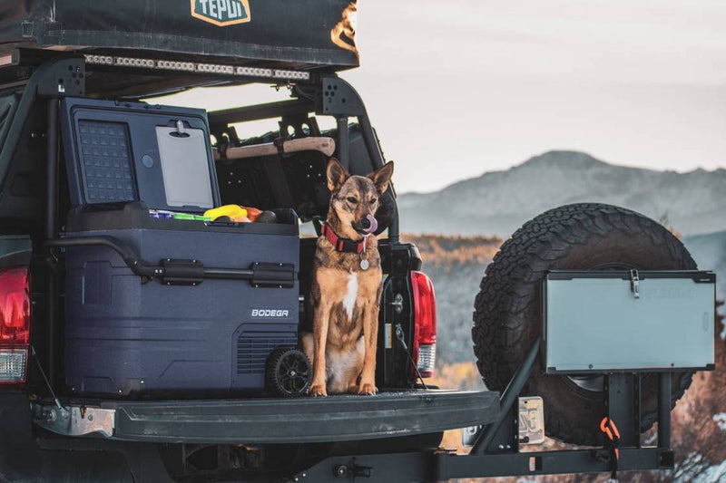 Can You Run a Portable Fridge Off a Car Battery?