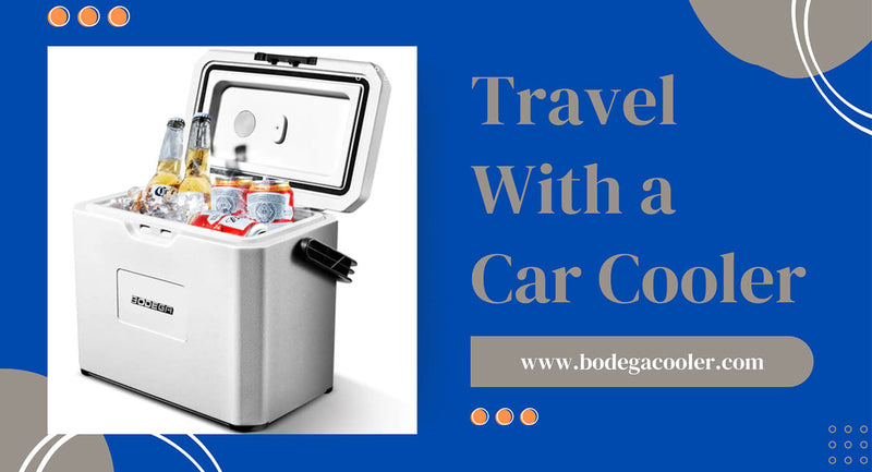 Travel with a Car Cooler in Summer