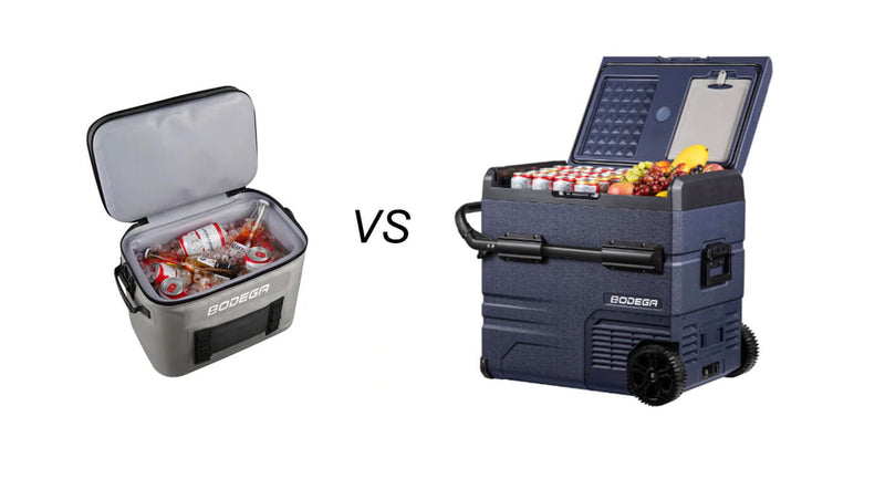 cooler and portable refrigerator