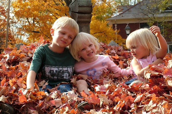 The Best Camping Place for American Families