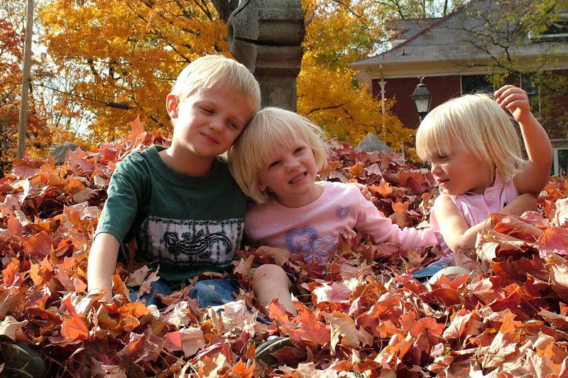 The Best Camping Place for American Families