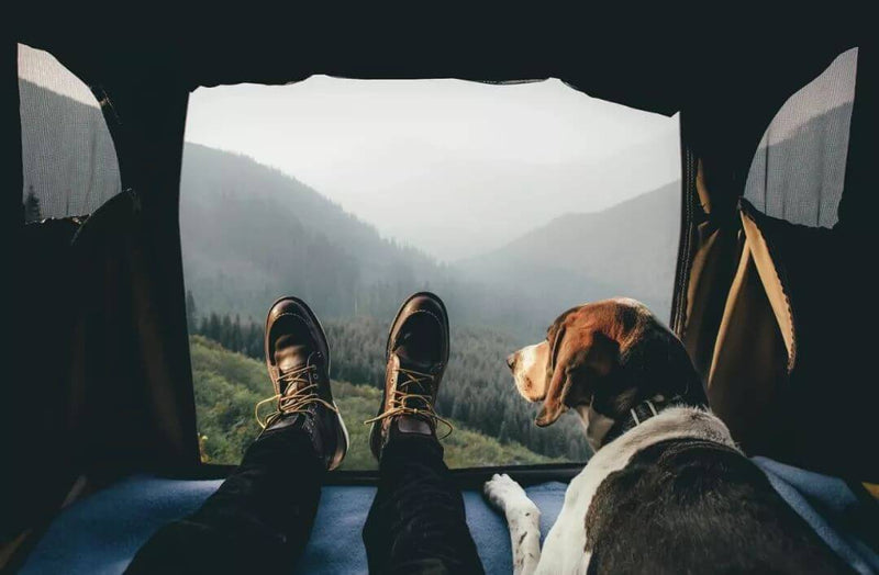 8 Overland Glamping Essentials You Needed