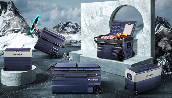 What Type of Car Fridge Should You Choose: Thermoelectric vs. Compressor