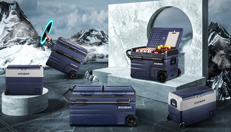 What Type of Car Fridge Should You Choose: Thermoelectric vs. Compressor