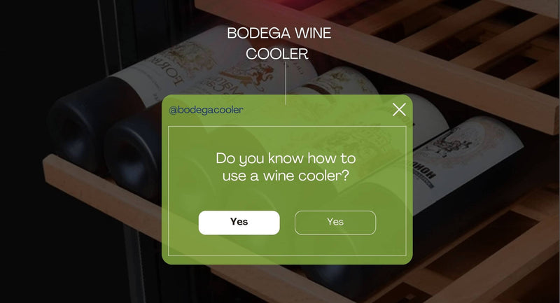 How to Use a Wine Cooler