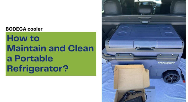 How to Maintain and Clean a Car Refrigerator?