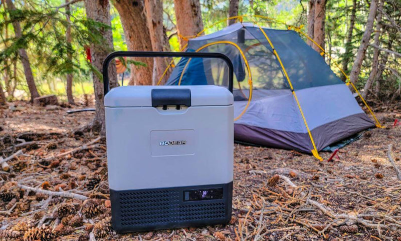 Small Size, Big Chill: Mini Fridges for Camping Reviewed