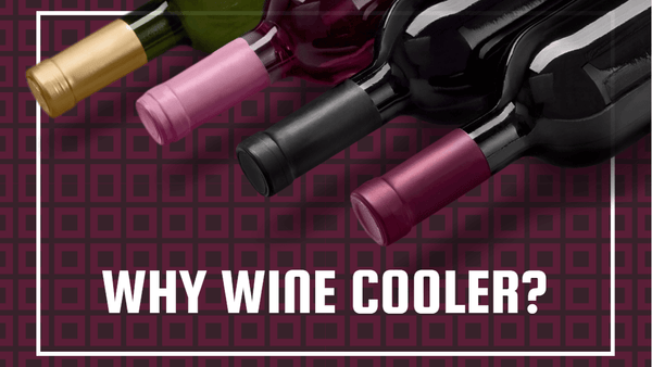 Benefits of Having Wine Coolers Home