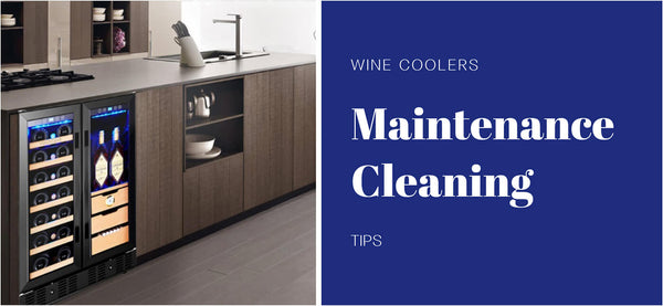 How to Maintain and Clean Wine Cooler?
