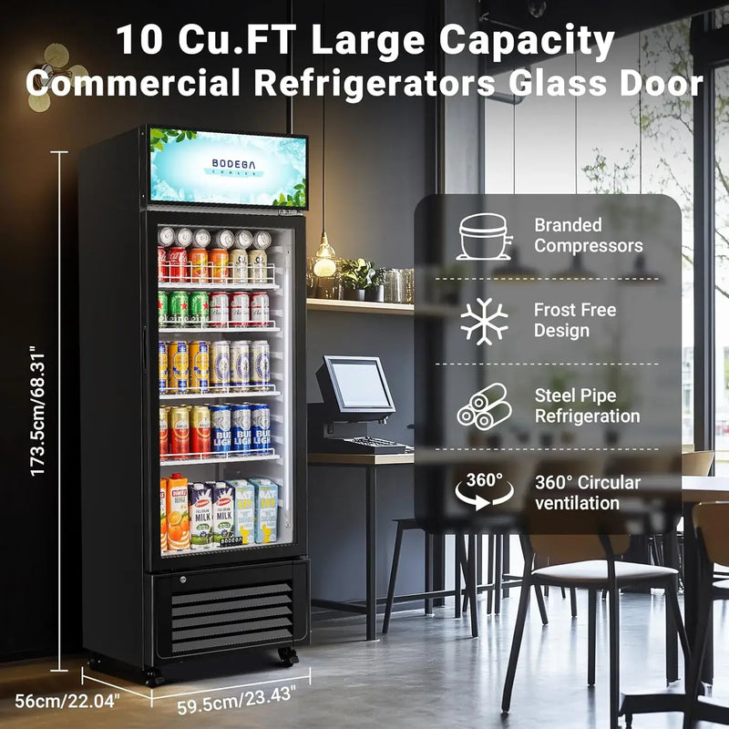 10 Cu.FT large capacity commercial refrigerator with glass door in a modern office setting.