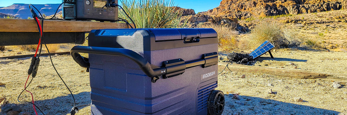 bodega portable fridge